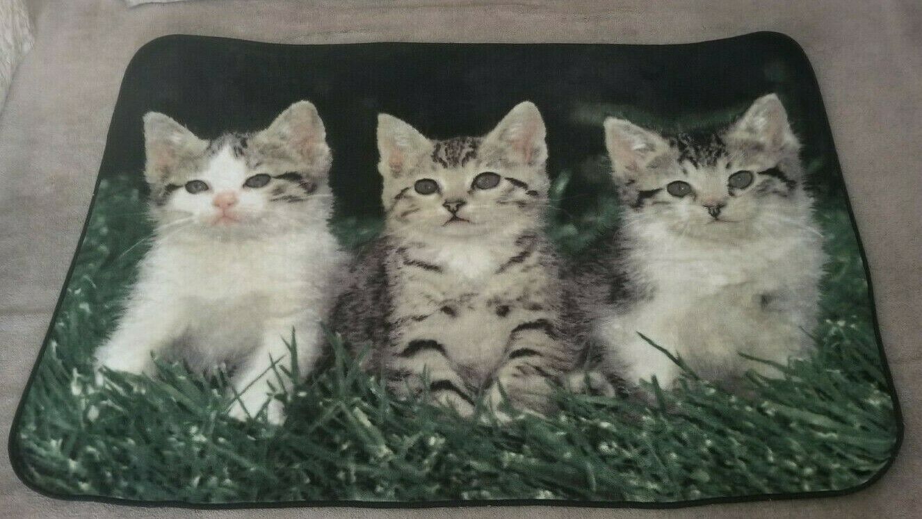 Three Little Kittens Plush Throw Blanket 71 ½ X 50